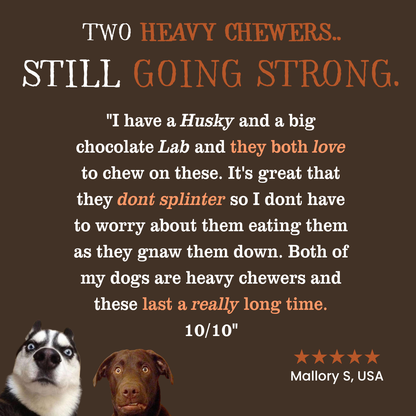 KindWood™ Chews