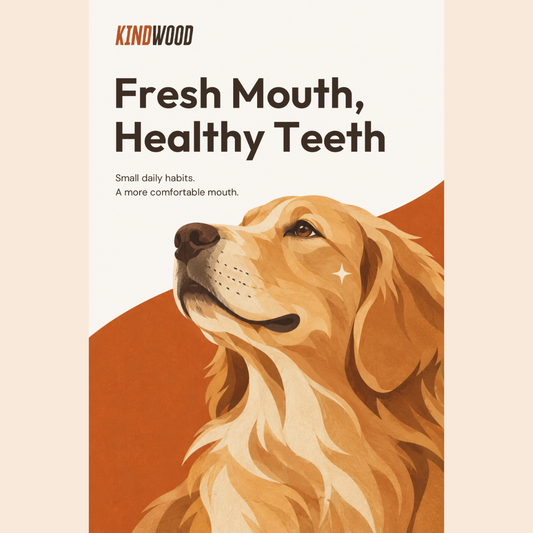 Healthy Teeth E-Book (Instant Download)
