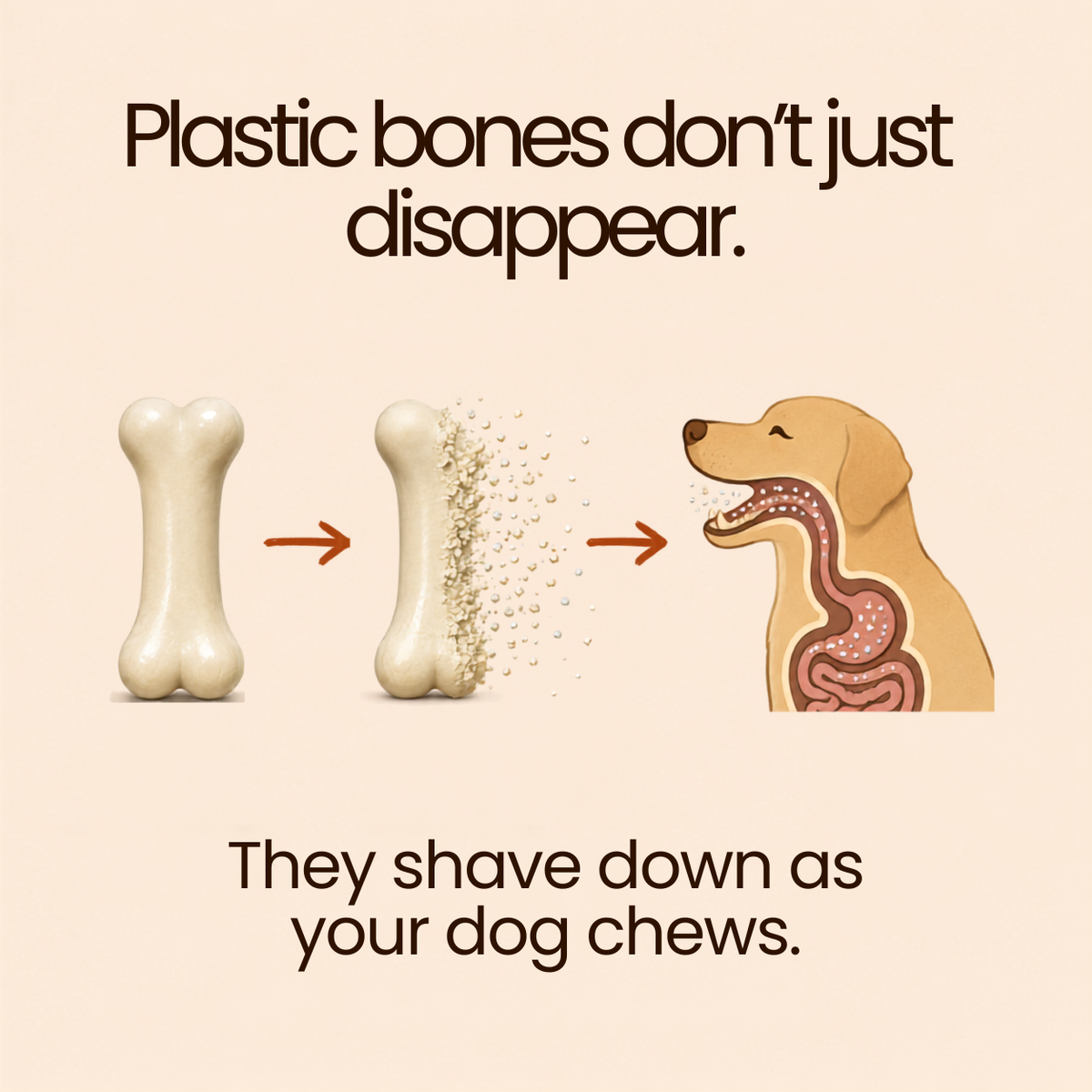 KindWood™ Chews