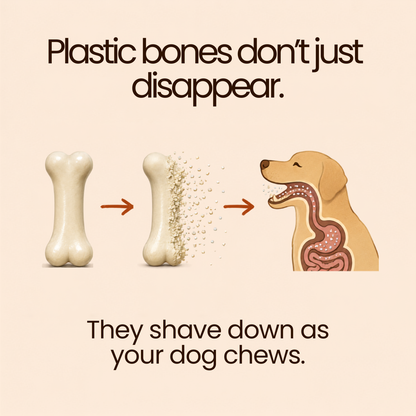 KindWood™ Chews