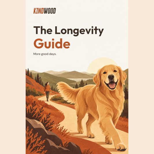 Longevity Guide E-Book (Instant Download)